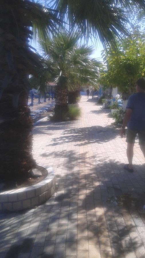 Ikaros Studios Faliraki Dış mekan fotoğraf
